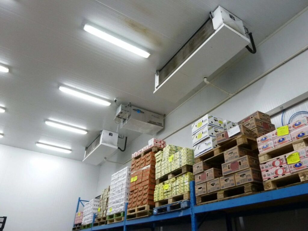 Les fruits dits climactériques (banane, pomme, tomate, mangue, avocat, poire) produisent une forte quantité d’éthylène