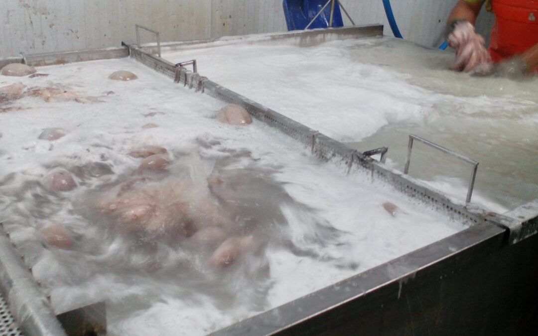 Traitement des eaux industrielles agroalimentaires