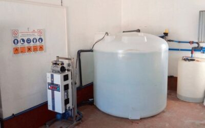 Ozone et Salmonella dans l’eau : efficacité >99,9 % en désinfection