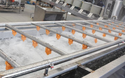Traitement de l’eau de lavage des fruits par ozone