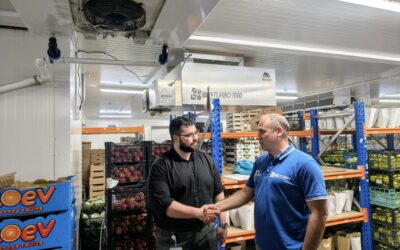 Traitement des biofilms par ozone gazeux