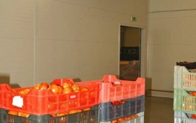 Traitement de l’eau d’irrigation en serre tomate par ozone