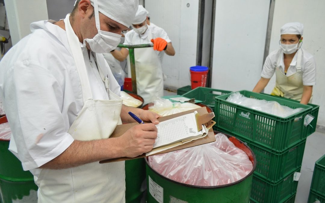 Bactérie Salmonella observée en environnement aqueux